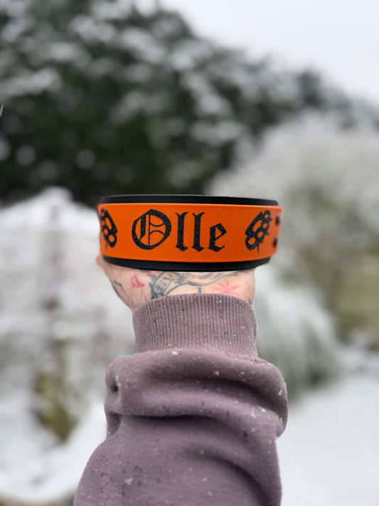 Double layered collar 50 mm/2 inch wide