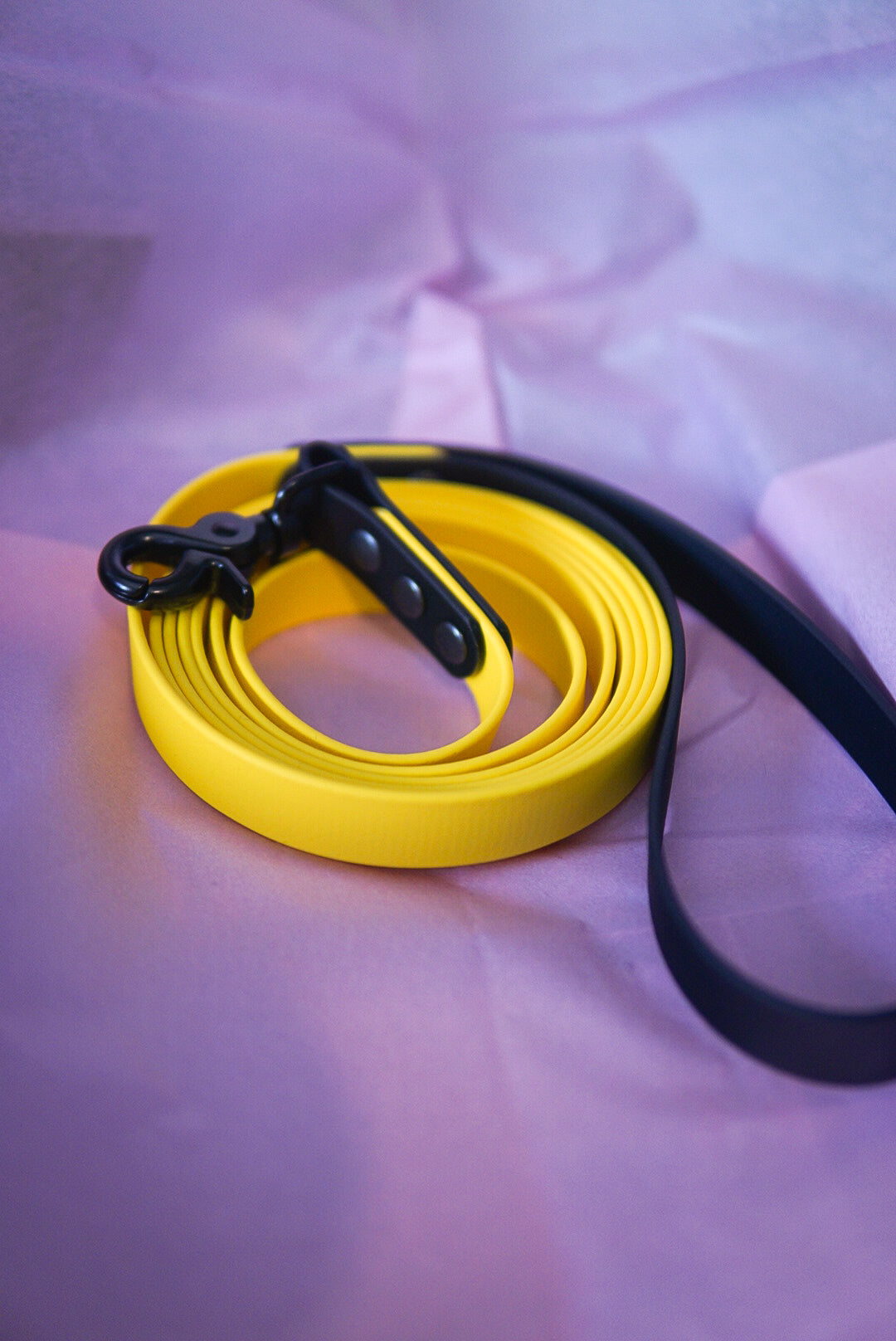 Pre-made leash yellow and black 2,35 m/ 7,5 foot