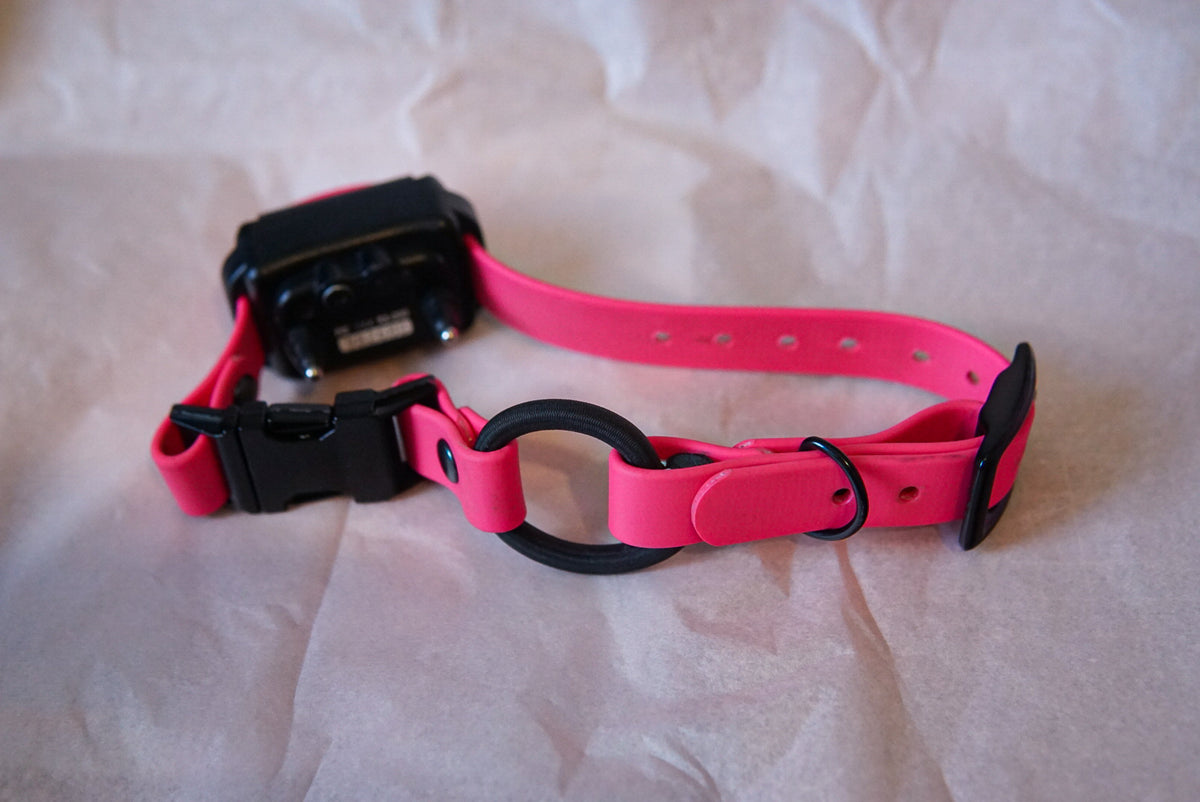 Custom e-collar strap