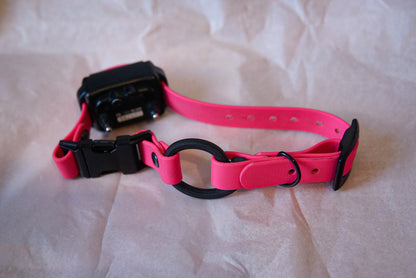 Custom e-collar strap