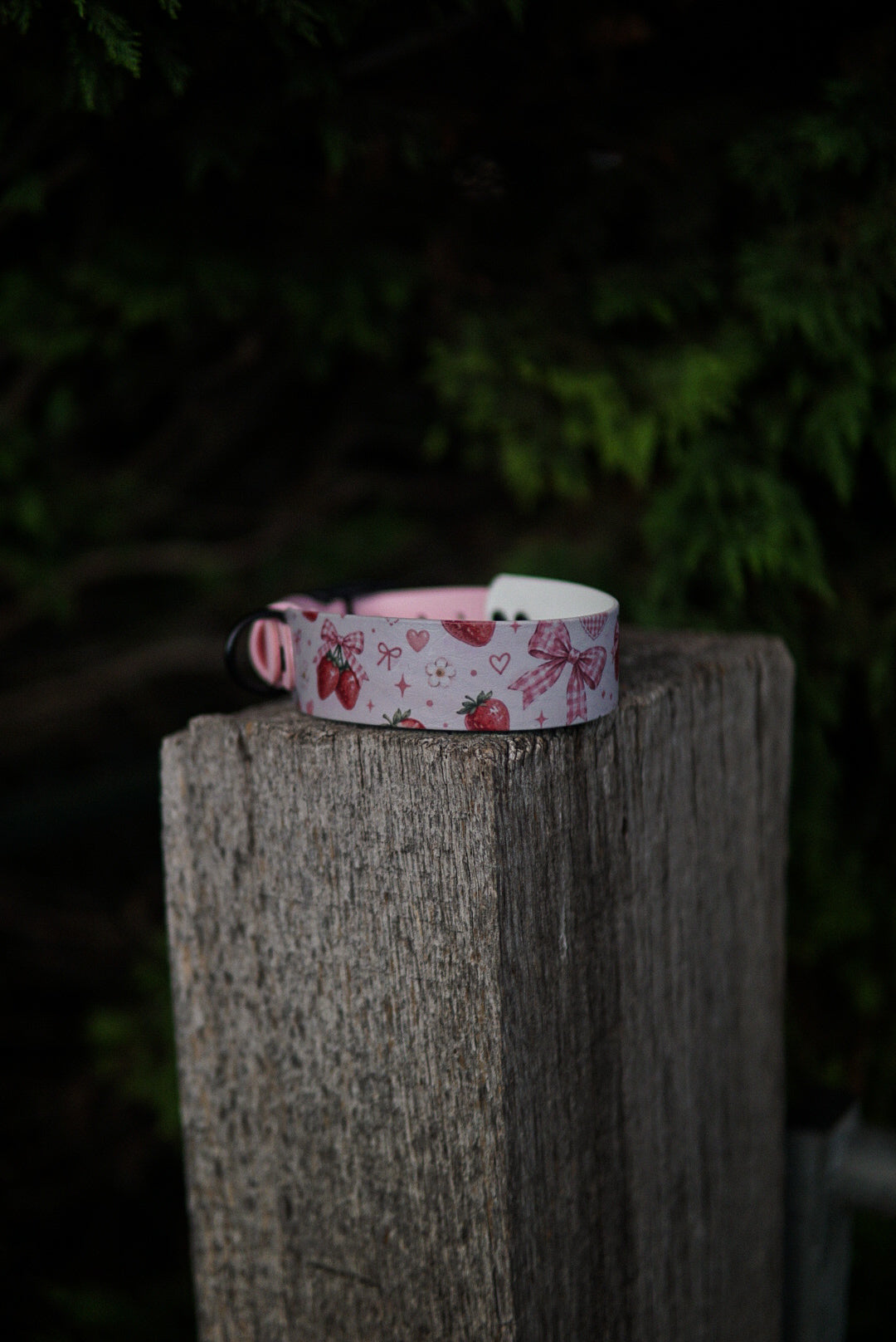 Test collar in size 40-50 cm/ 15.7-19.6 inches