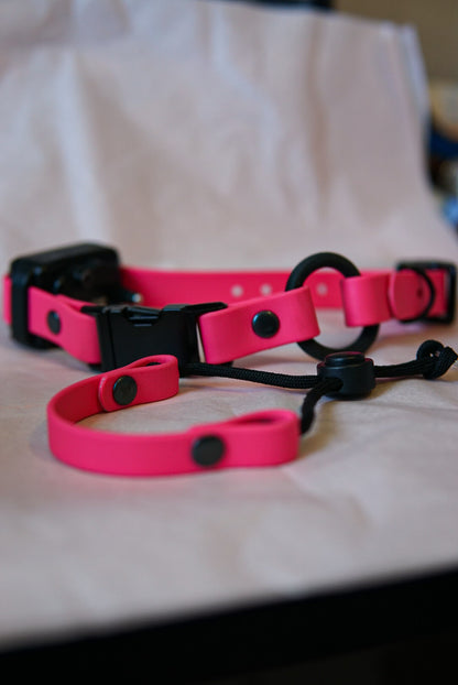 Custom e-collar strap