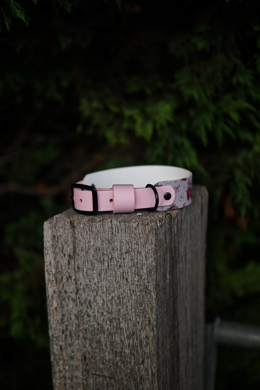 Test collar in size 40-50 cm/ 15.7-19.6 inches