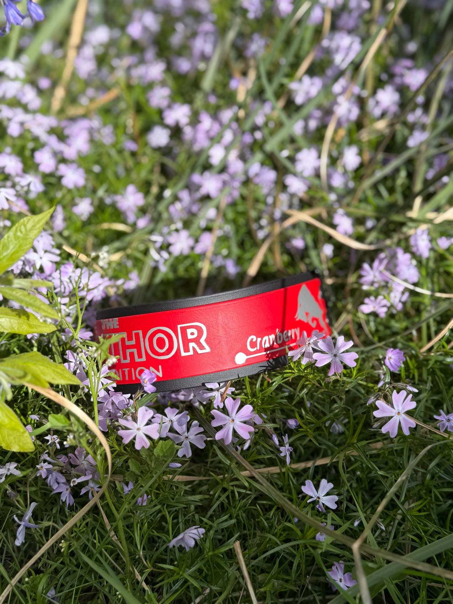 Drink themed collar 2 inch / 5 cm wide