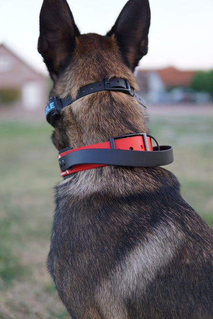 Add on- add a handle to your collar