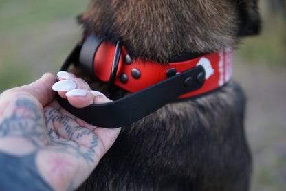 Add on- add a handle to your collar