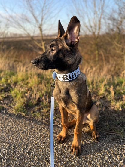 Double layered collar 50 mm/2 inch wide