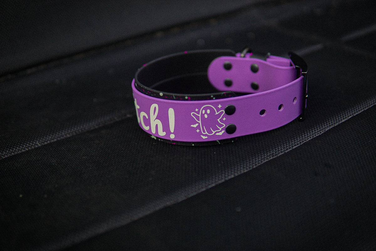 Pre-made halloween collar glow in the dark 2” size M 35-45 cm / 13.5-17.5 inch