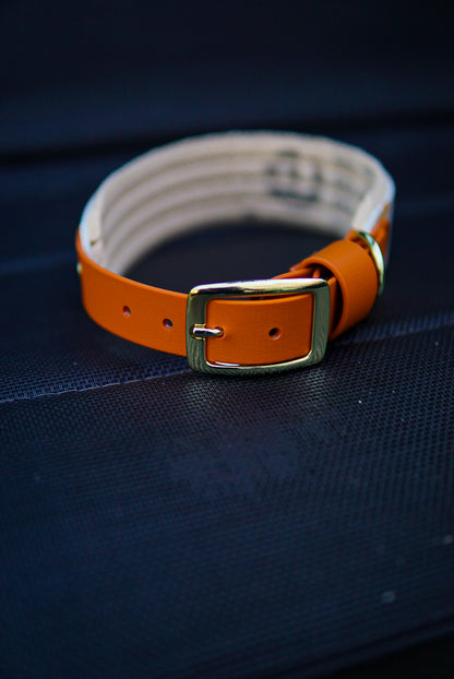Pre-made autumn/halloween collar size L 45-55 cm / 17.5-21.5 inch