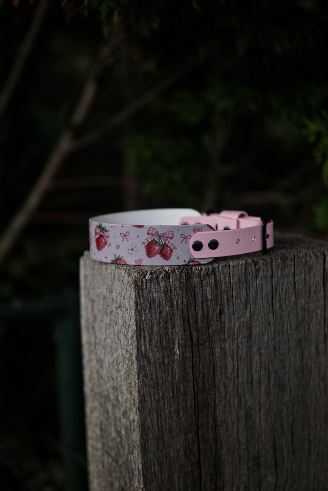 Test collar in size 40-50 cm/ 15.7-19.6 inches