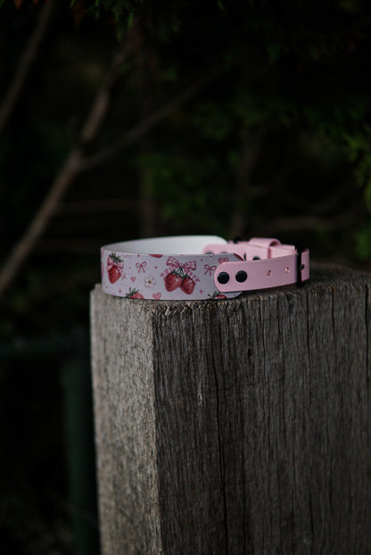 Test collar in size 40-50 cm/ 15.7-19.6 inches