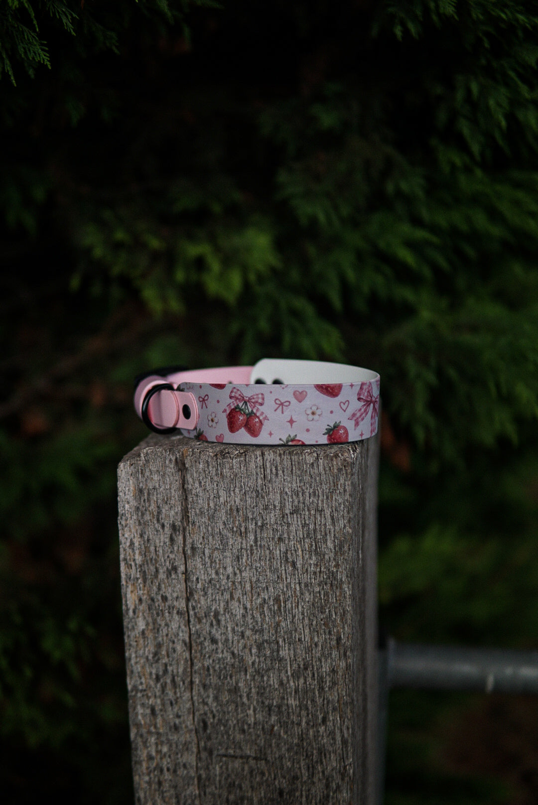 Test collar in size 40-50 cm/ 15.7-19.6 inches