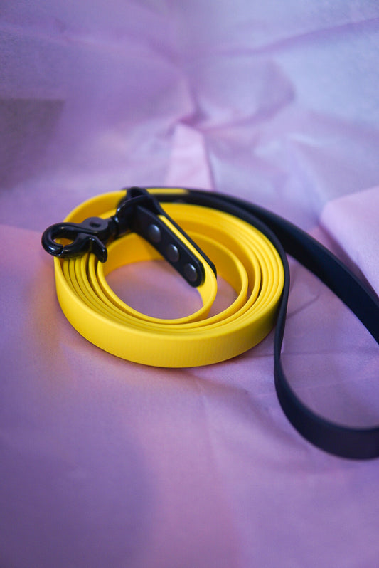 Pre-made leash yellow and black 2,35 m/ 7,5 foot