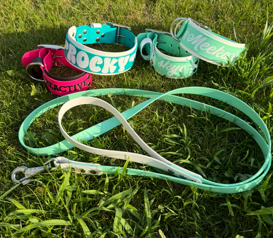 Custom leash 19 mm 3/4th inch wide