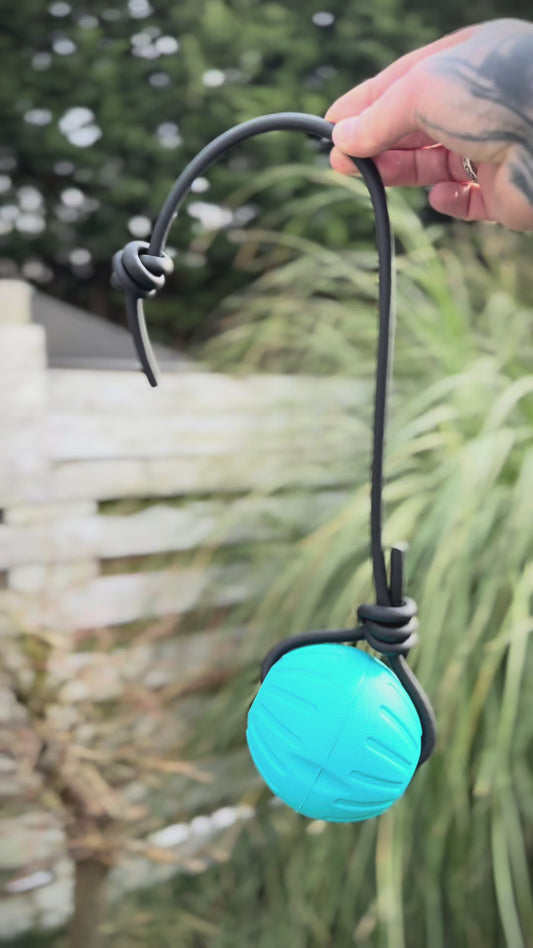 Pre made 8 mm rolled biothane ball tug