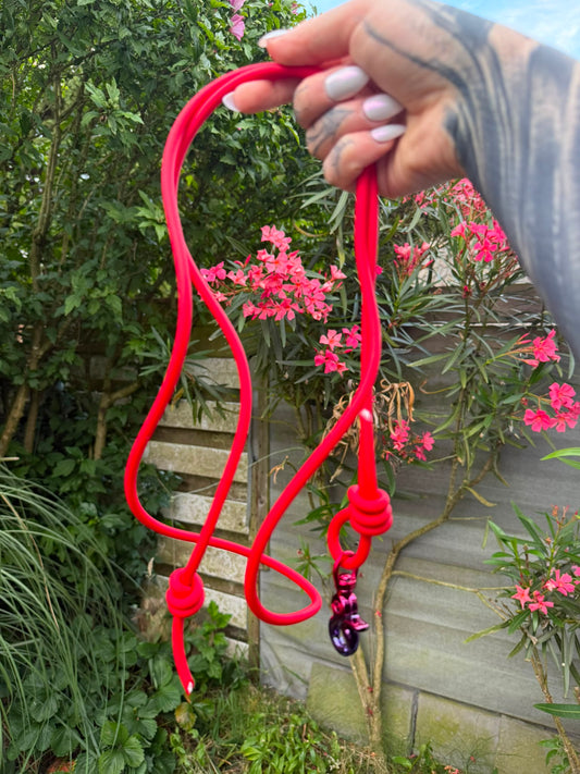 Pre-made red training leash blue clip 1,70 m - 5,5 feet